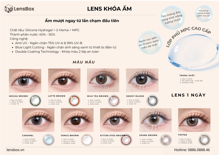 Bộ sưu tập lens 1 ngày tone nâu: Lựa chọn dễ dùng, tự nhiên và phù hợp mọi phong cách