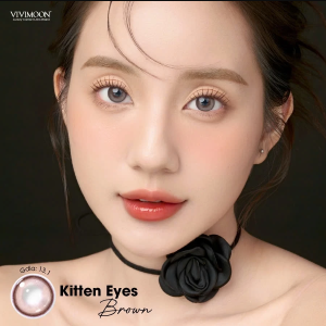 Kitten Eyes Brown - 1 Day - LKA